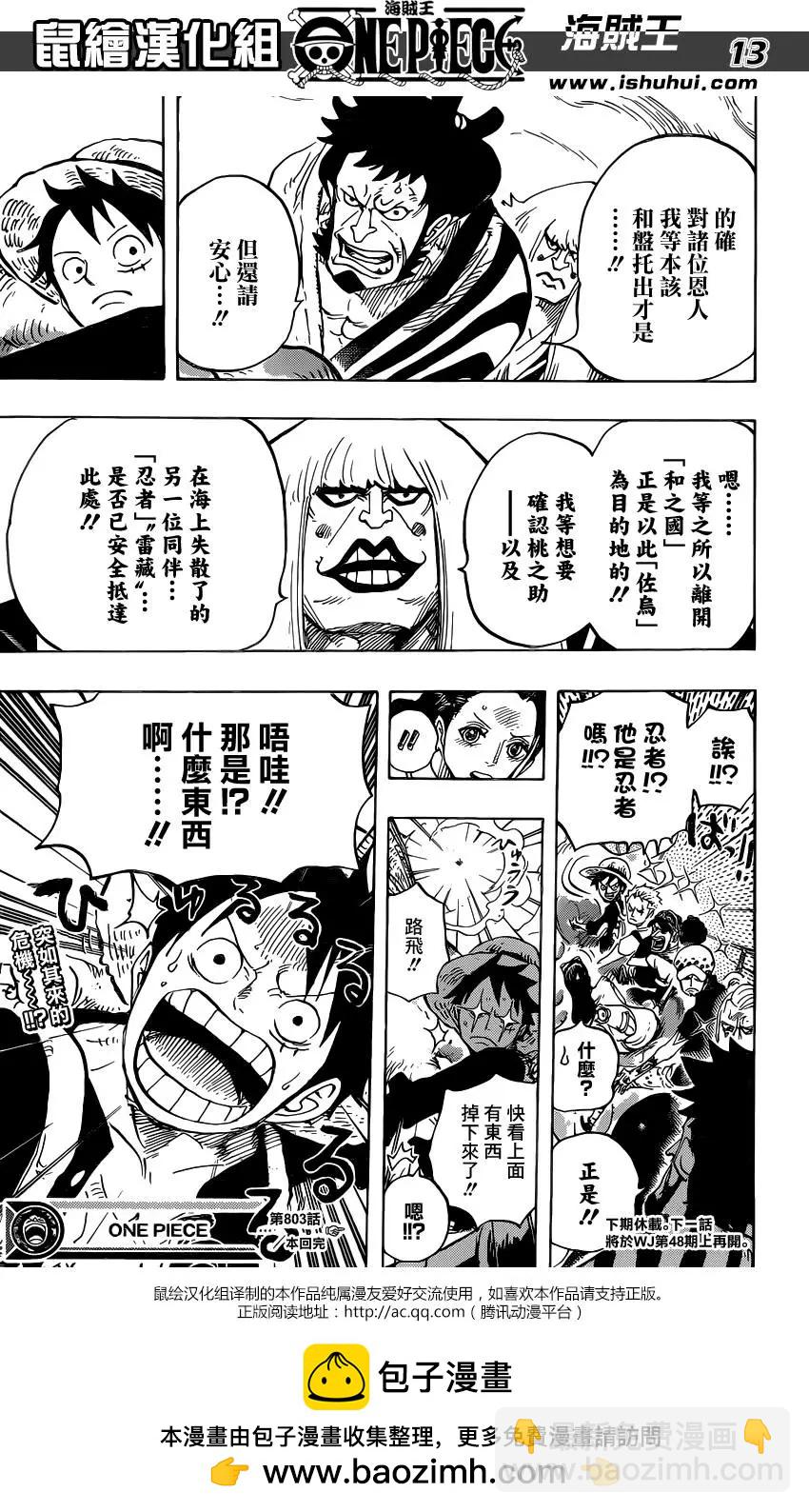 🍖ONE PIECE航海王 第803回 登象 第14页