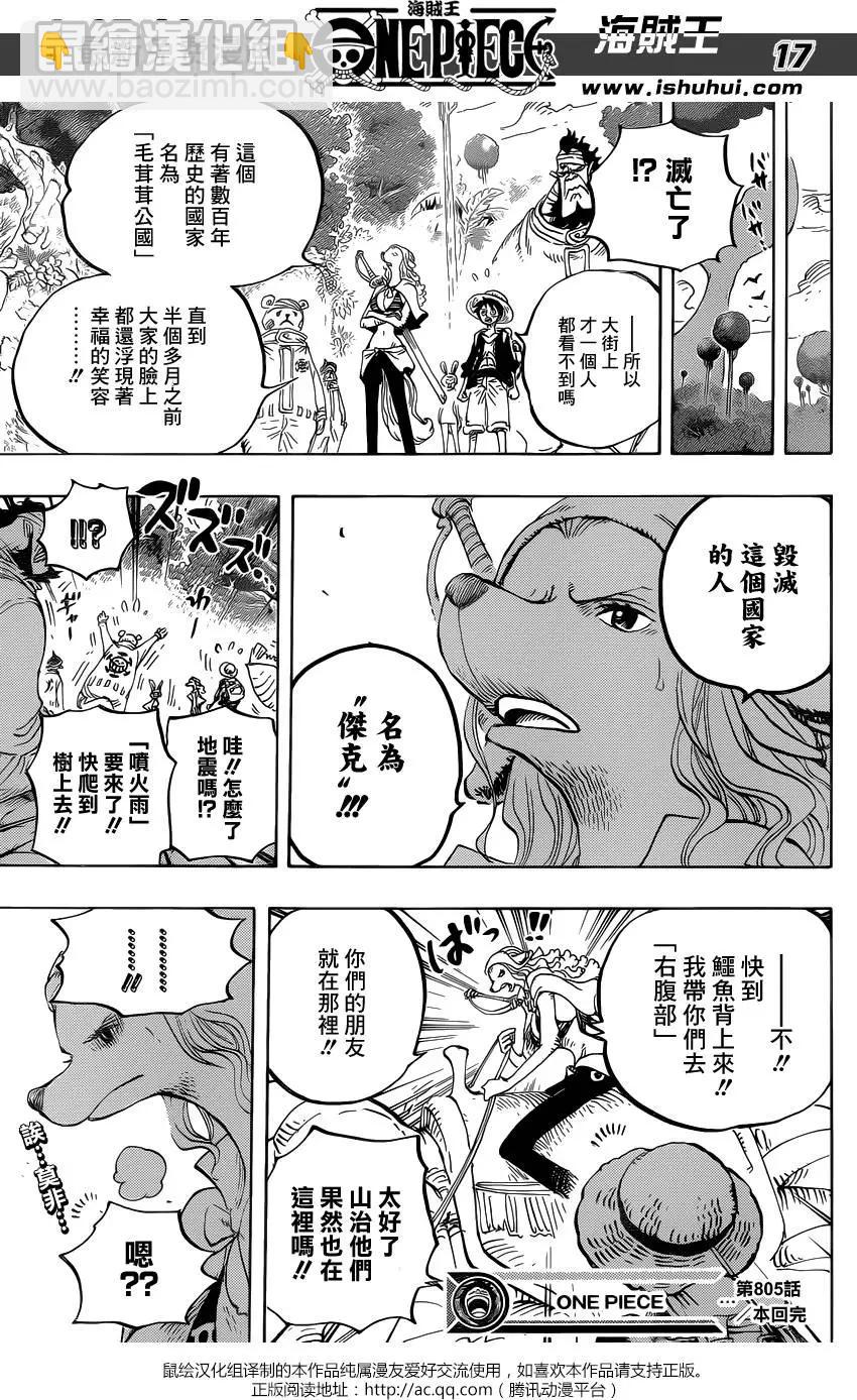 🍖ONE PIECE航海王 第805回 毛皮族 第17页
