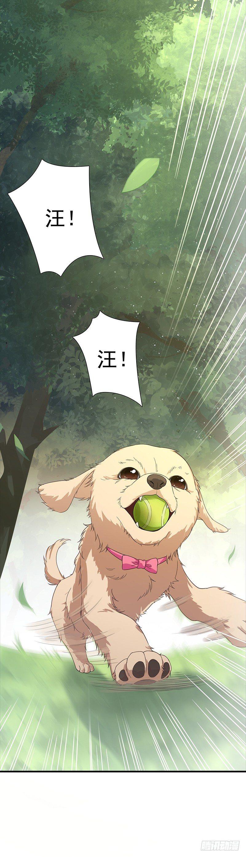第14话 人间最美妙的事-第16话