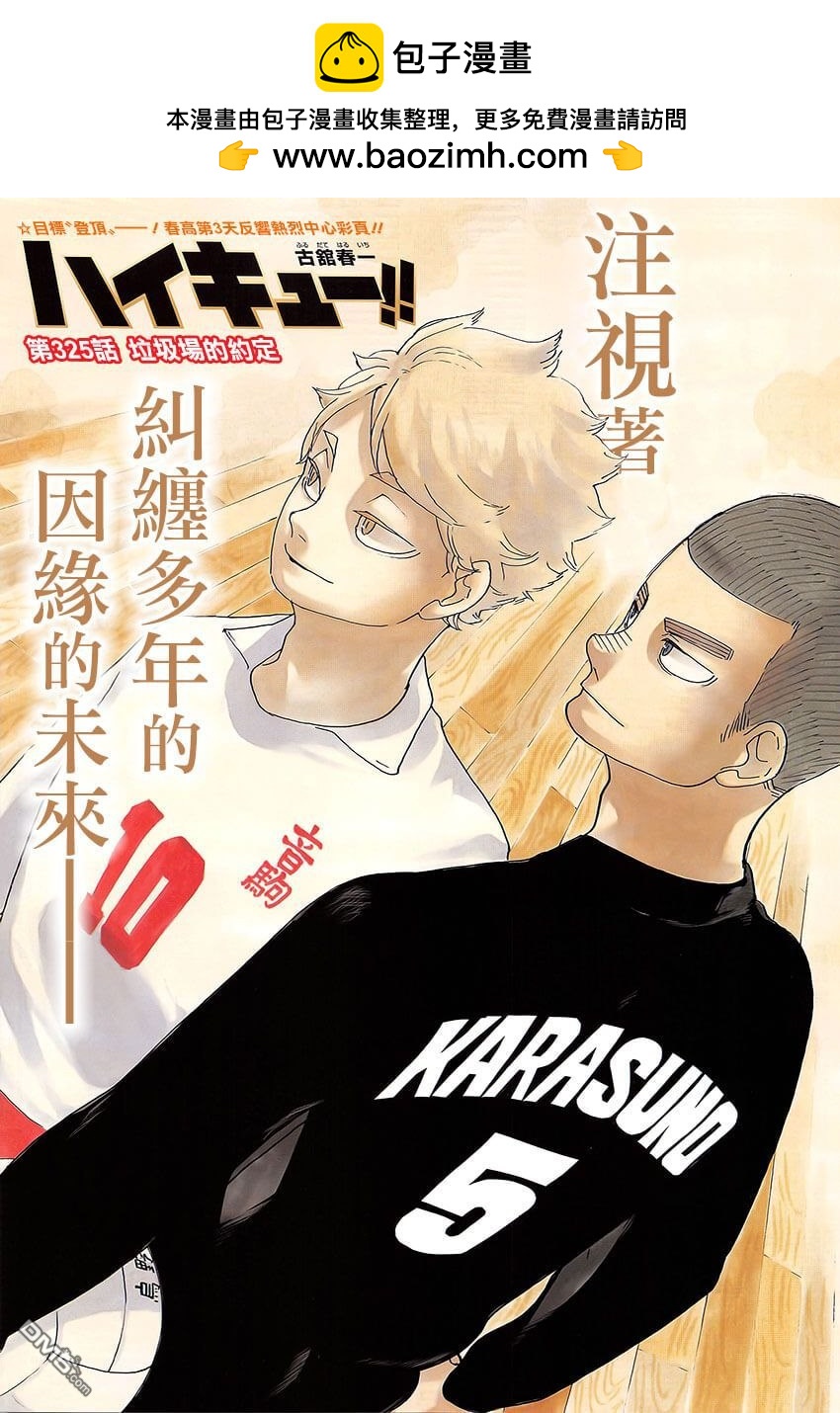 🍝排球 第325话 垃圾场的约定 第2页