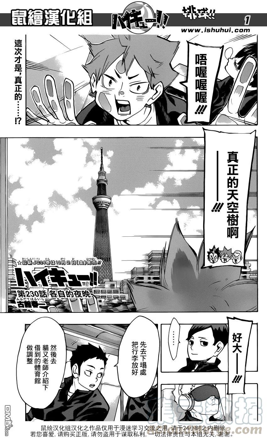🍝排球少年！！ 第230话 各自的夜晚 第1页
