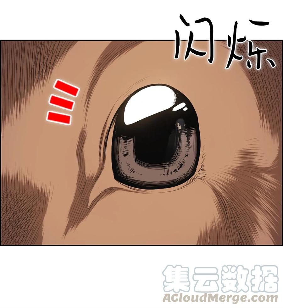 34 34-第34话