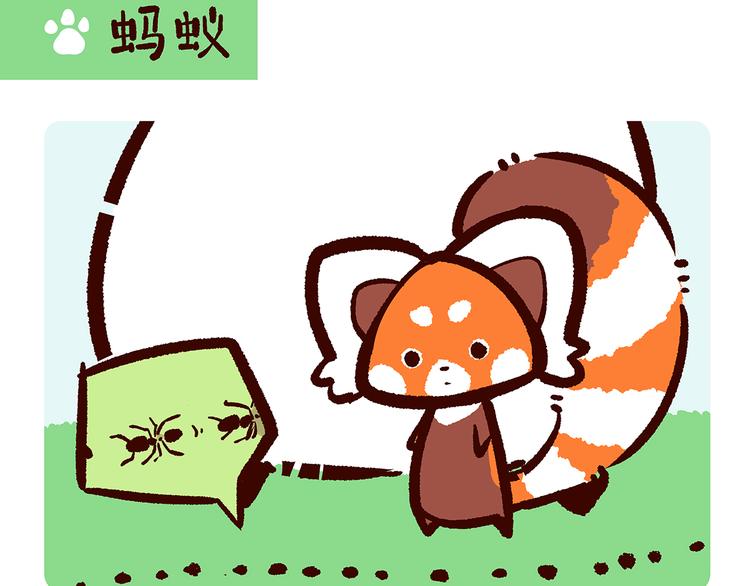 第11话-第12话