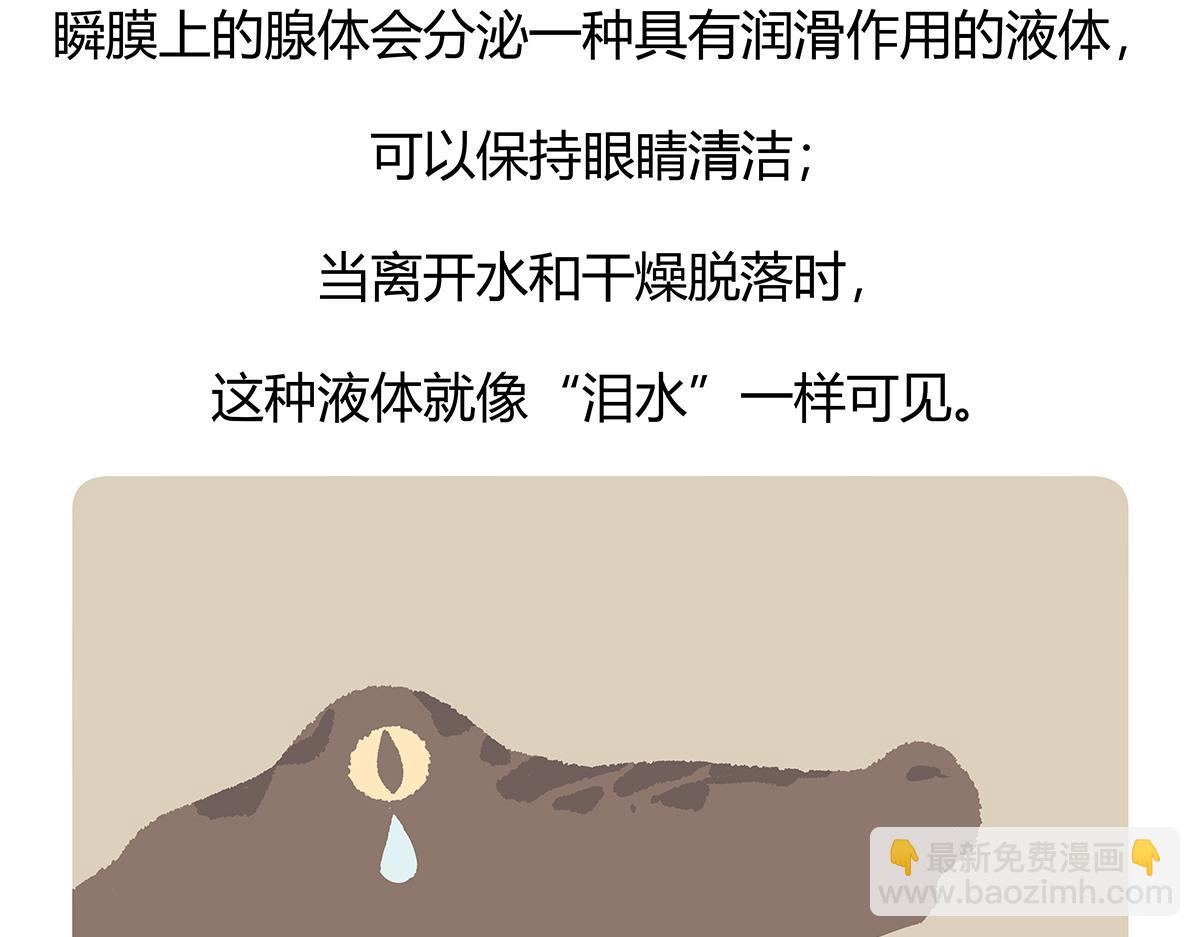 第113话-第114话