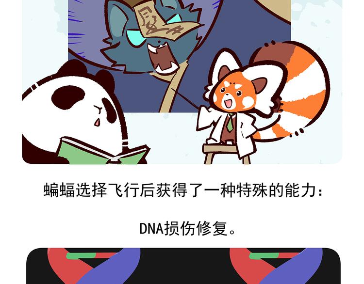 第13话-第14话