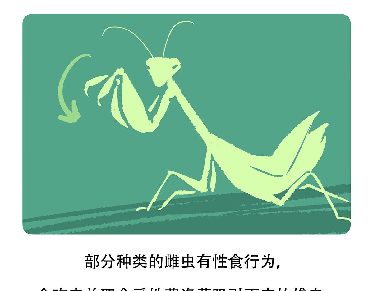 第133话-第134话