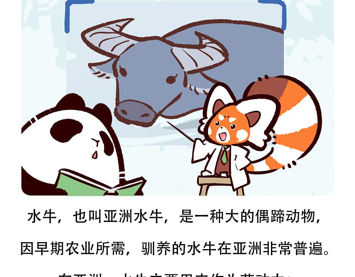 第143话-第144话