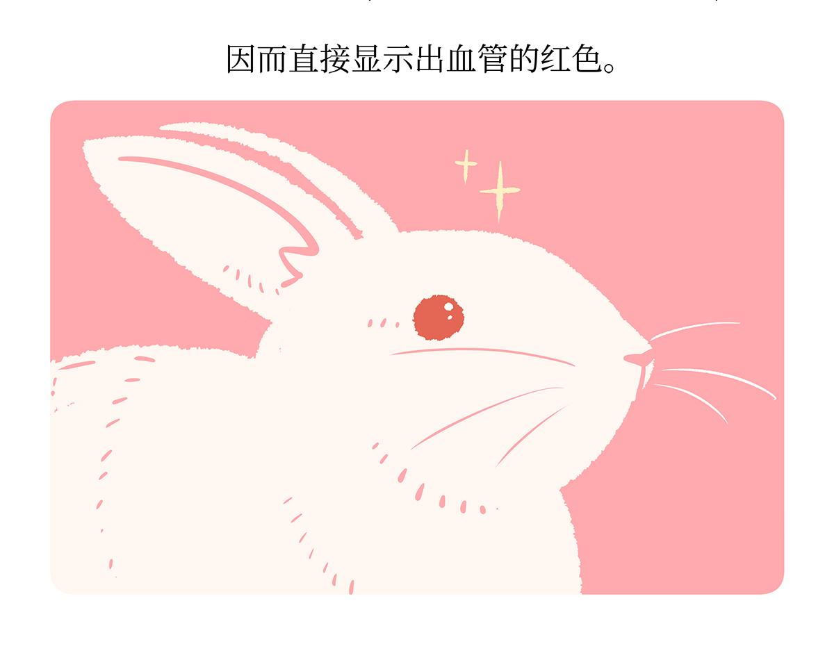 第161话-第162话