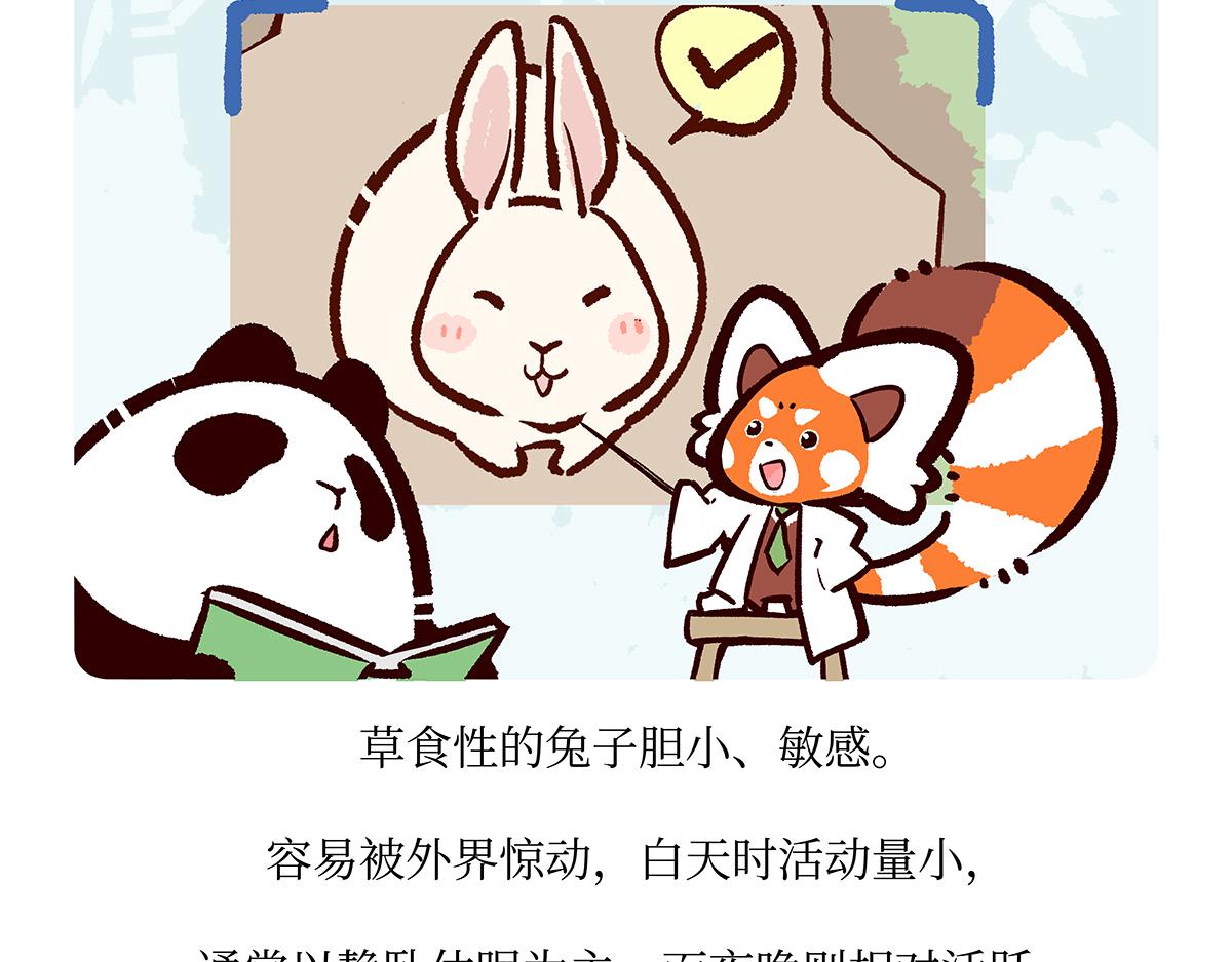 第161话-第162话