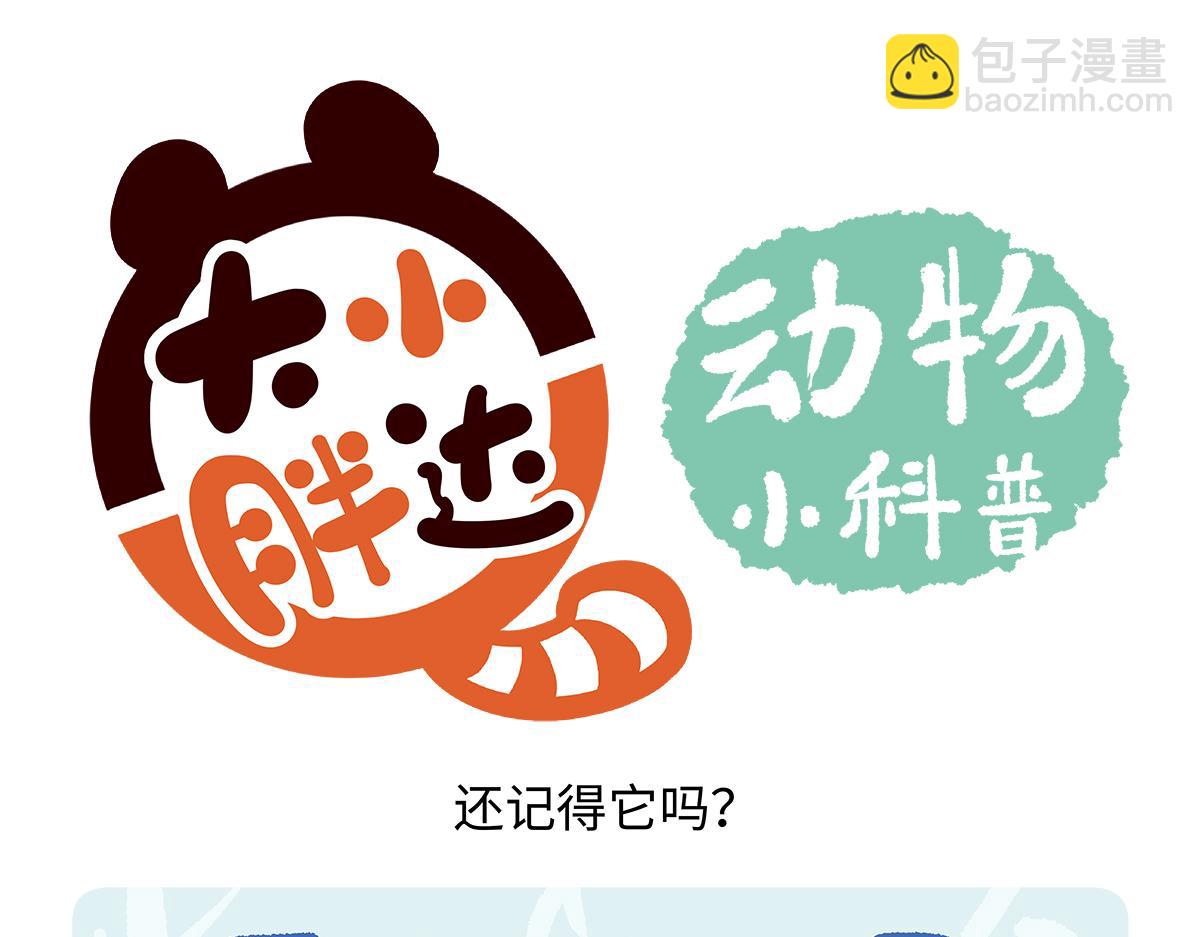 第163话-第164话