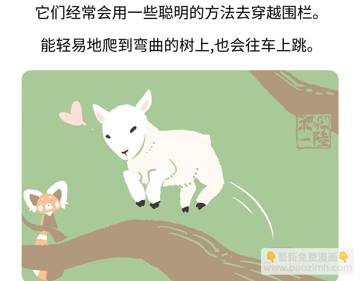 第169话-第170话