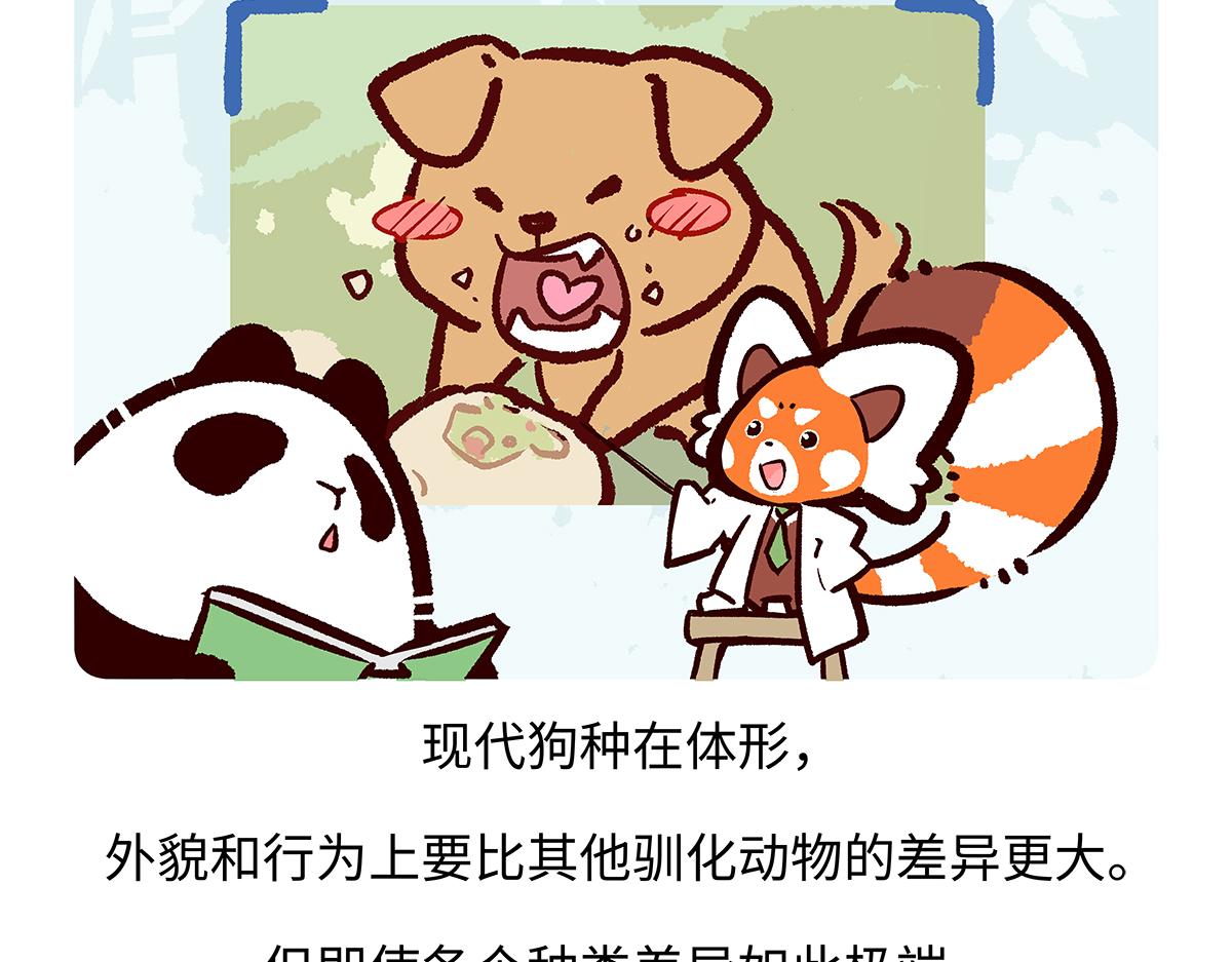 第177话-第178话
