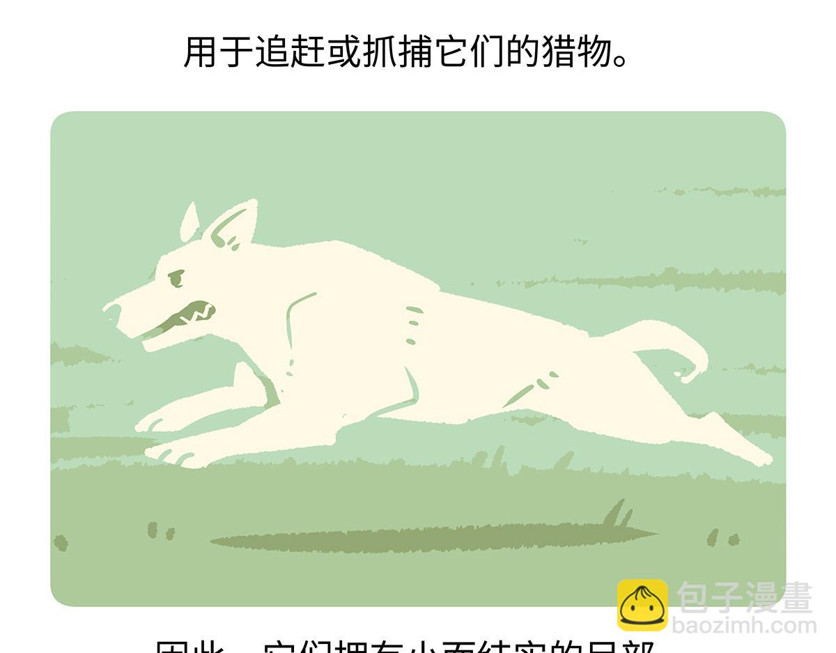 第177话-第178话