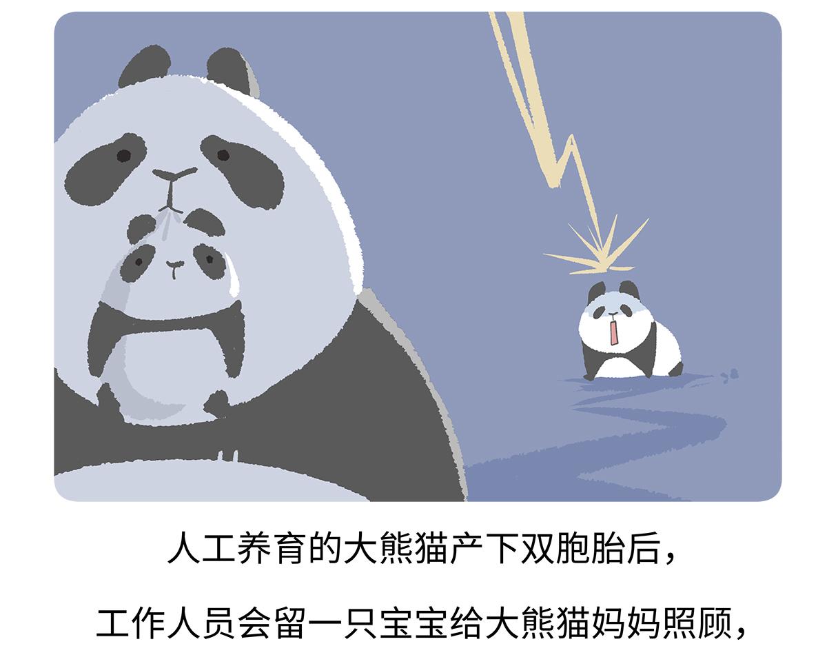 第187话-第188话