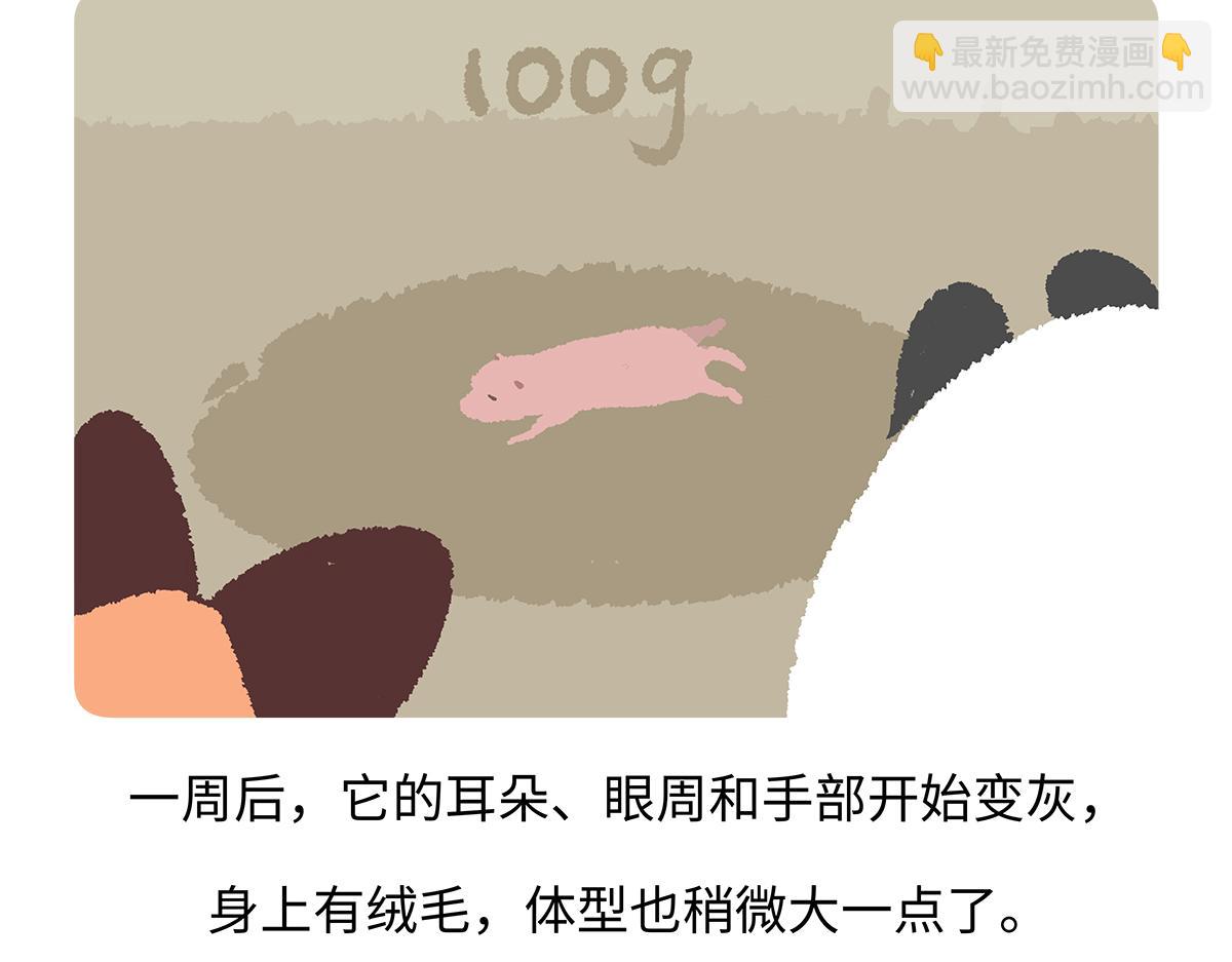 第187话-第188话