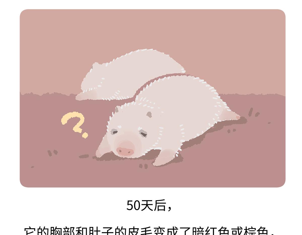 第187话-第188话