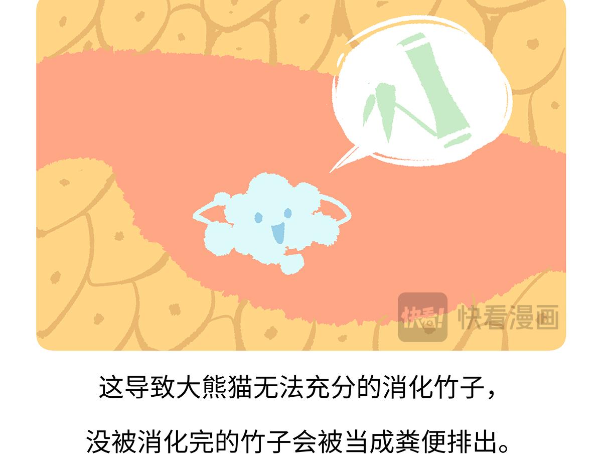 第191话-第192话