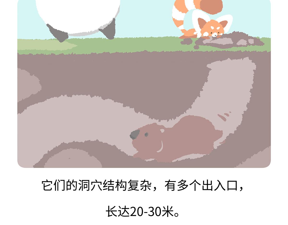 第193话-第194话