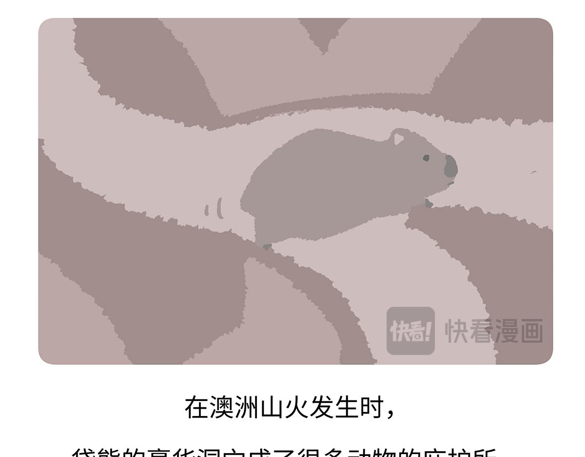 第193话-第194话