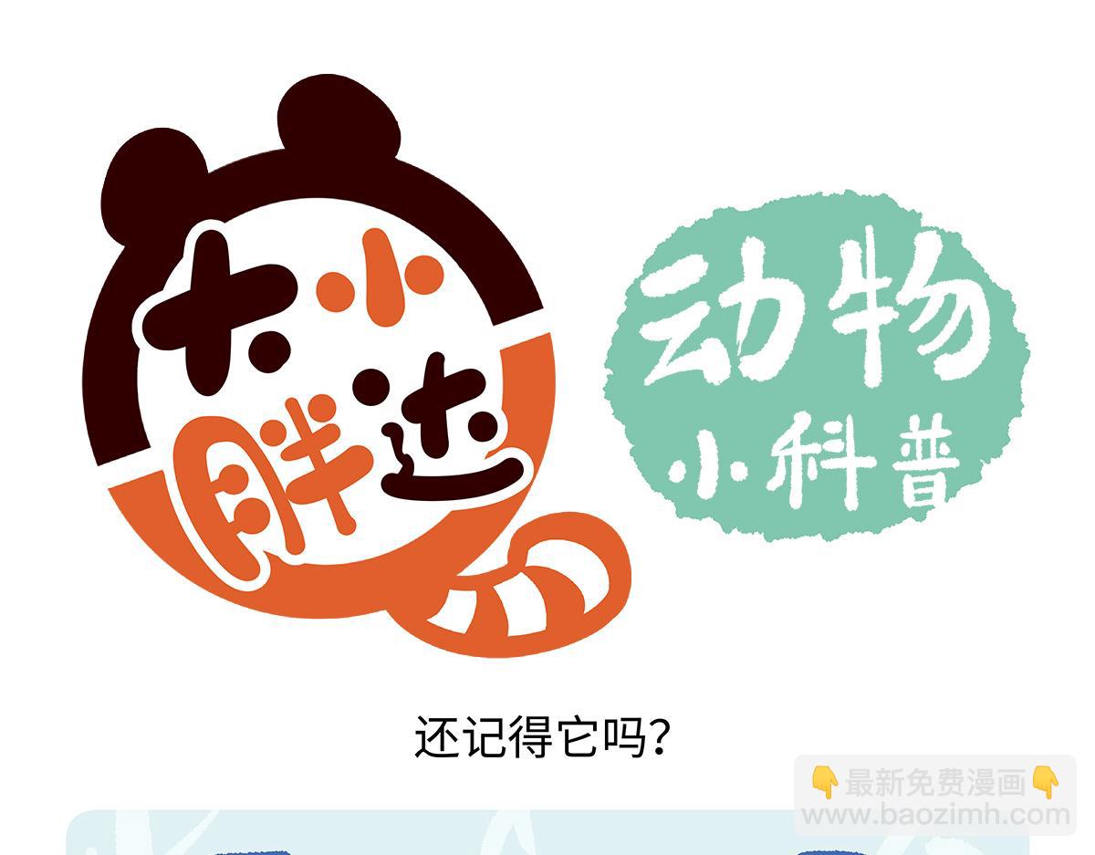 第195话-第196话
