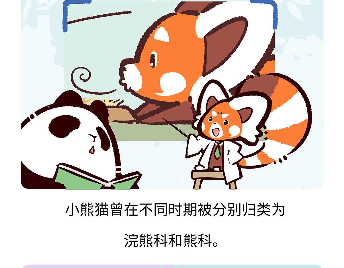 第195话-第196话