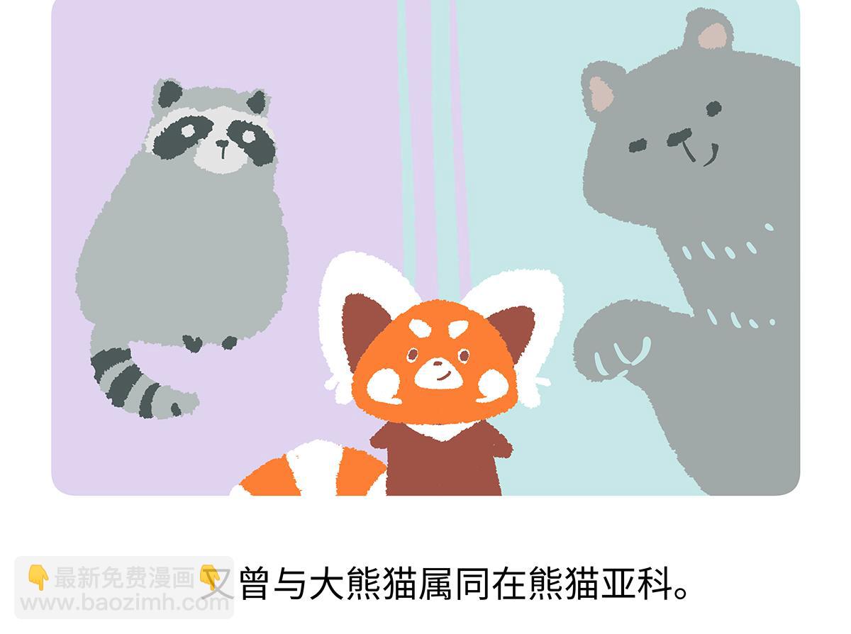 第195话-第196话