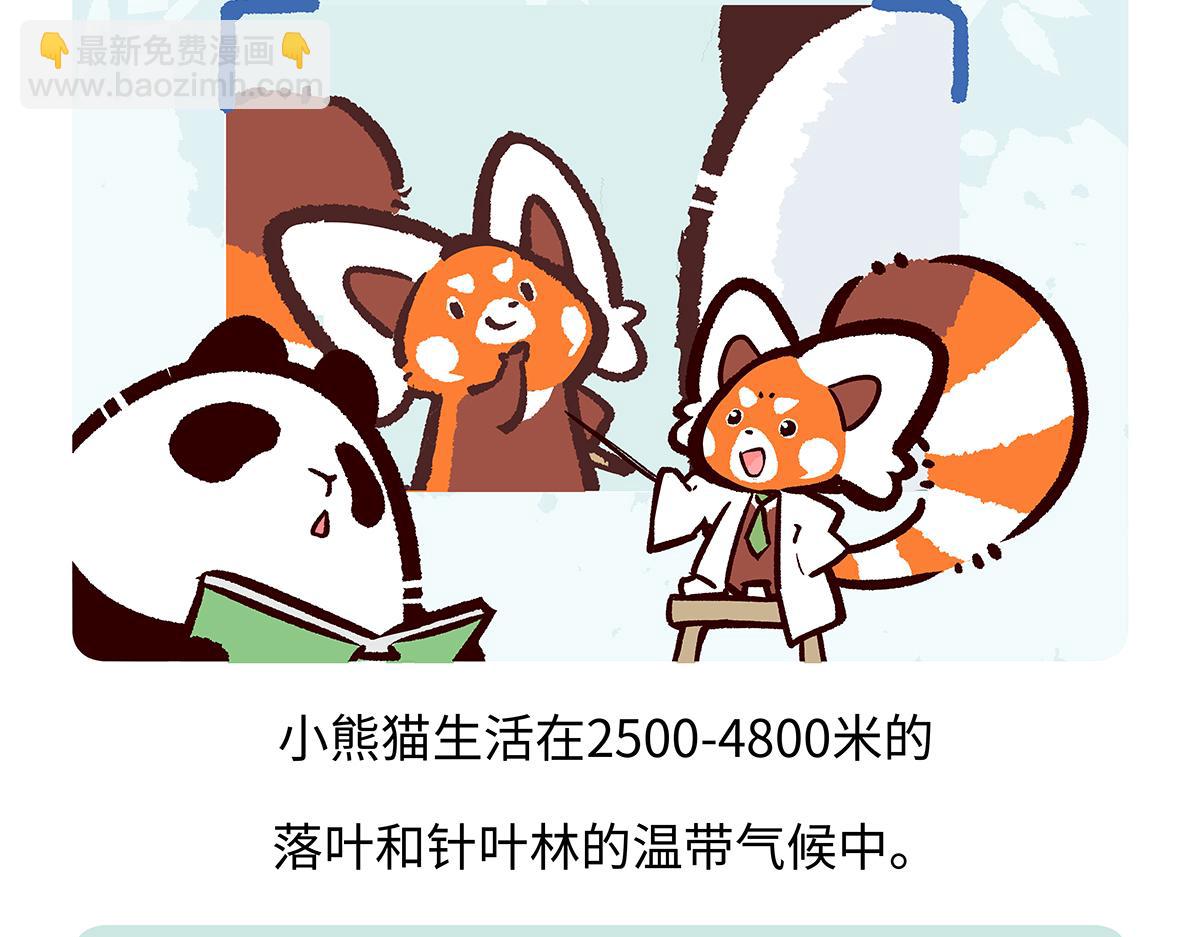 第195话-第196话
