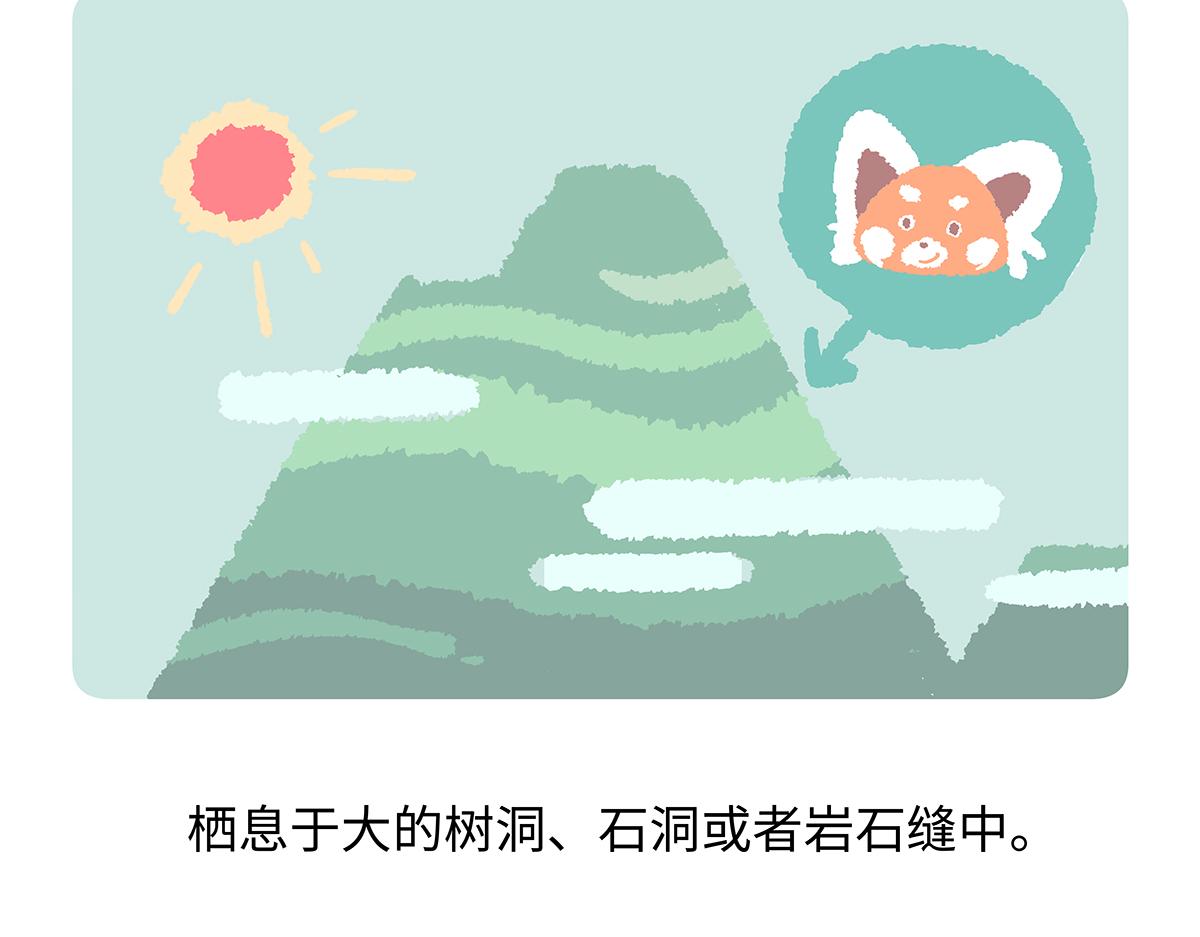 第195话-第196话