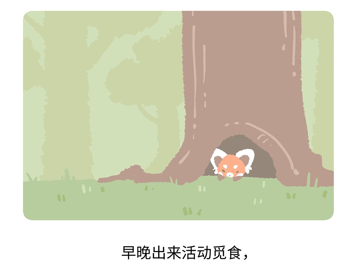 第195话-第196话