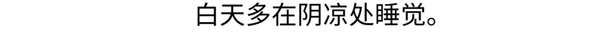 第195话-第196话