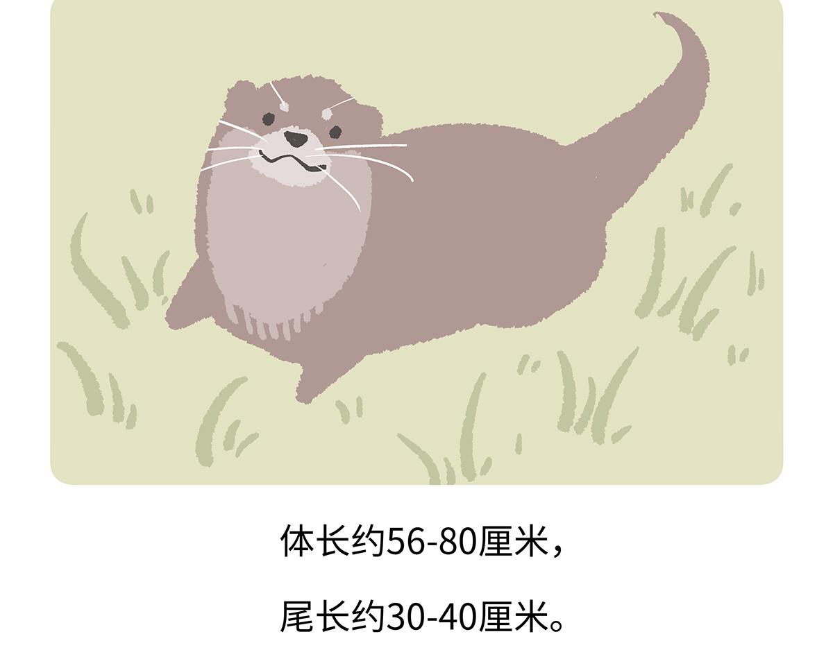 第197话-第198话