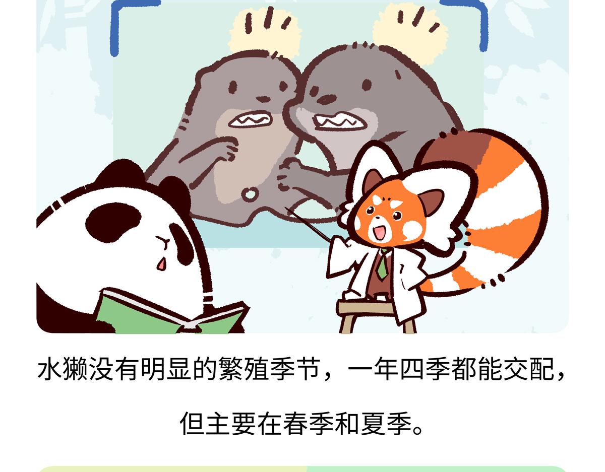 第203话-第204话