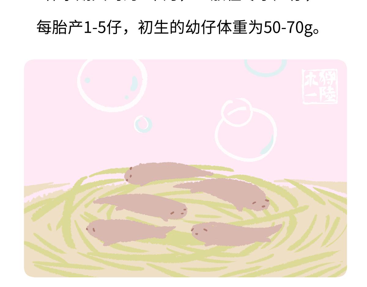 第203话-第204话
