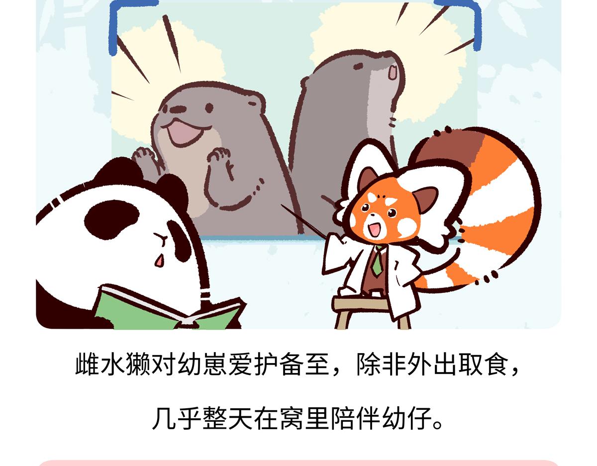 第203话-第204话