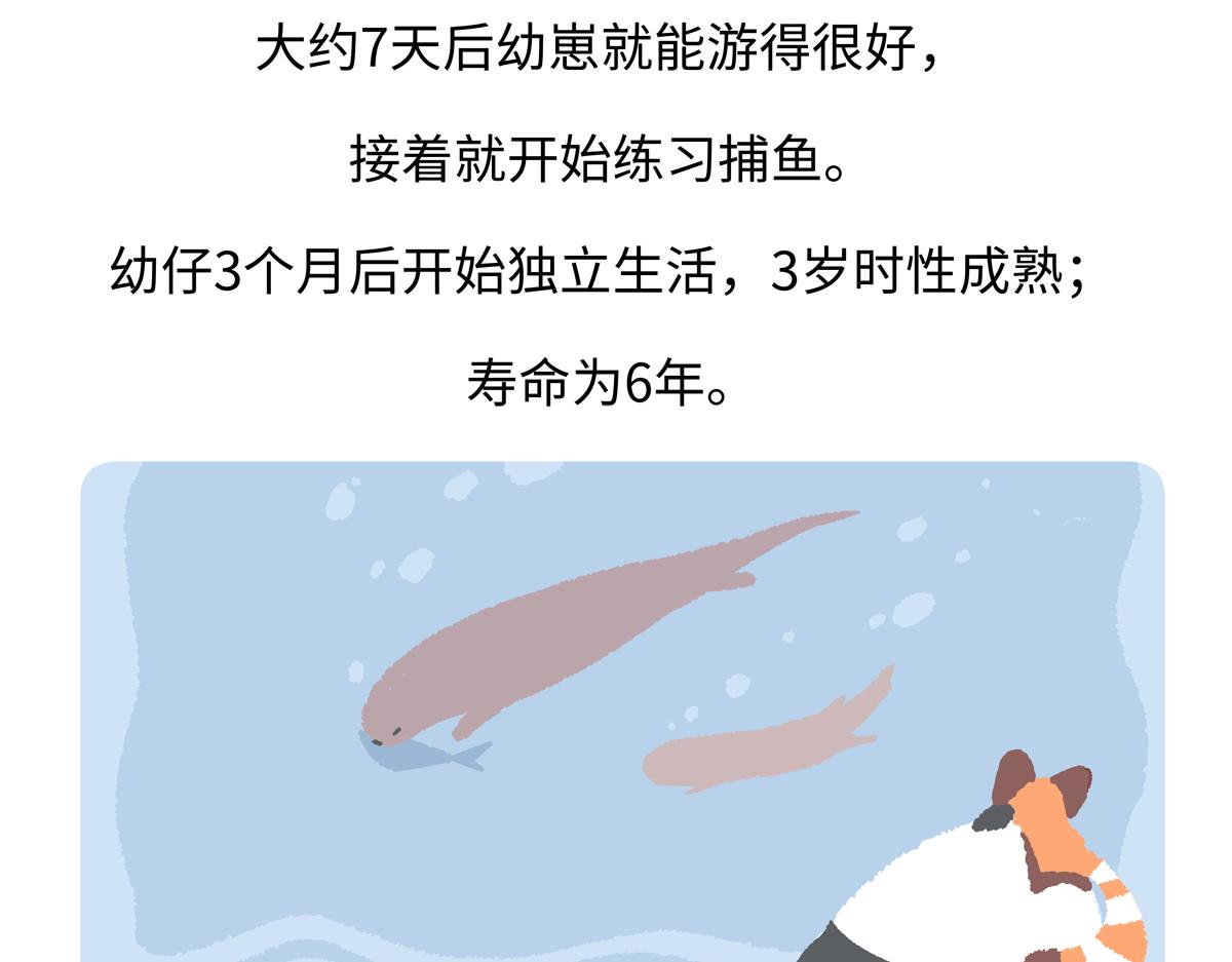 第203话-第204话