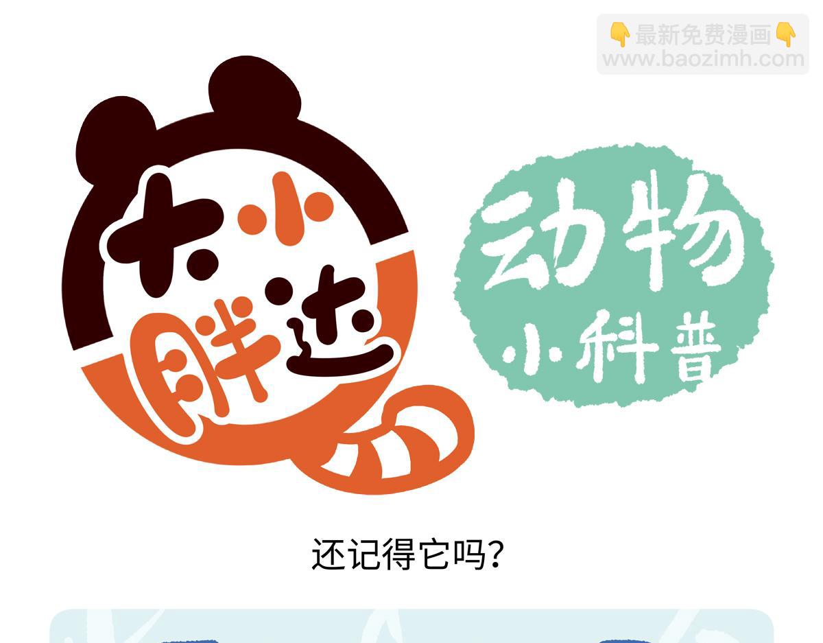 第215话-第216话