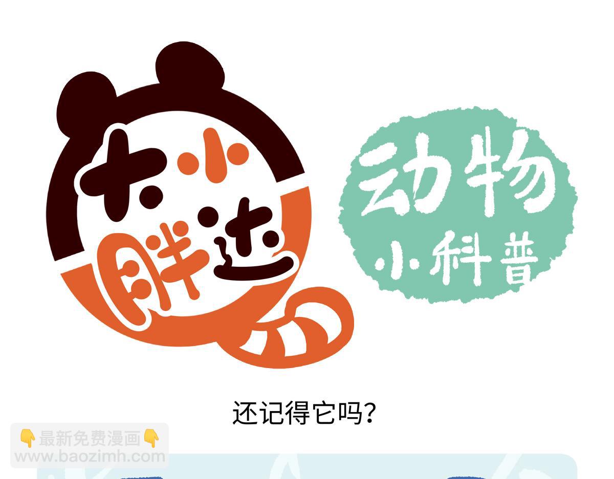 第215话-第216话