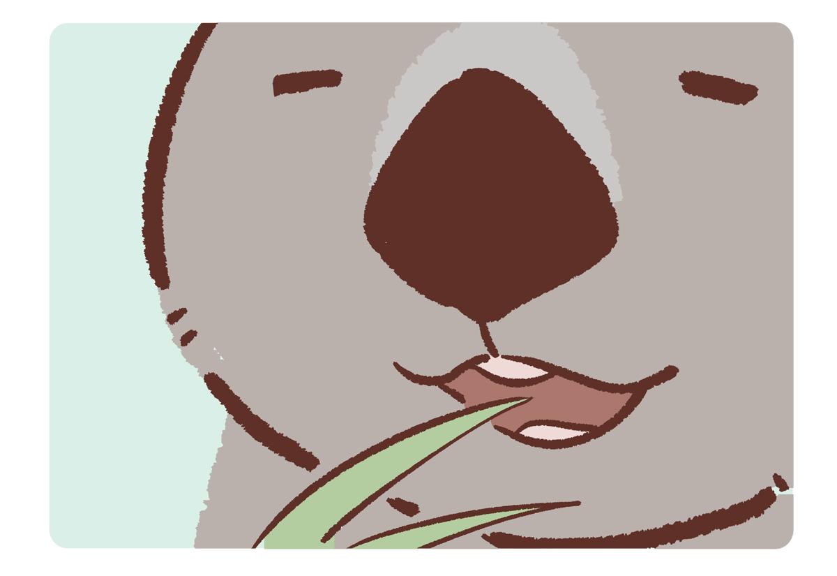 第221话-第222话