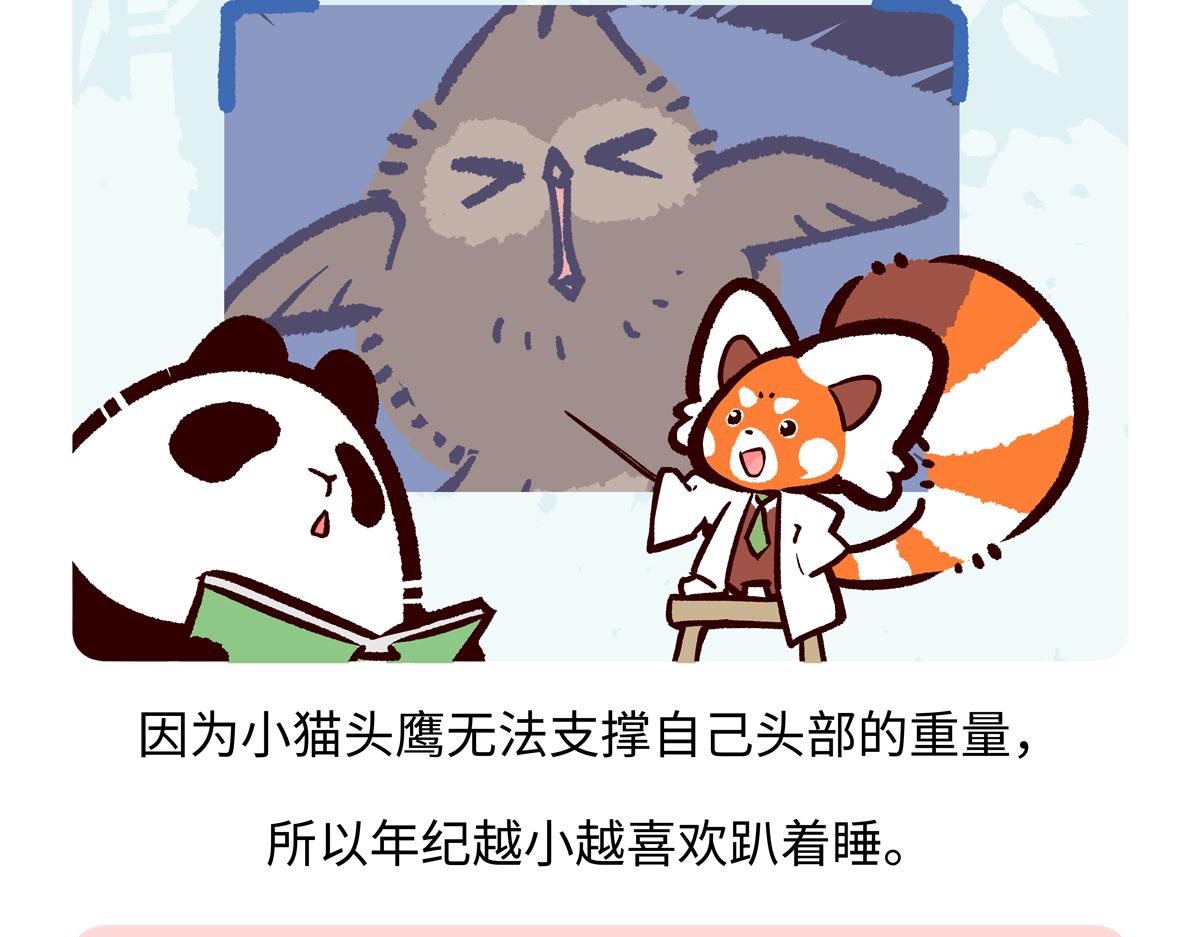 第223话-第224话