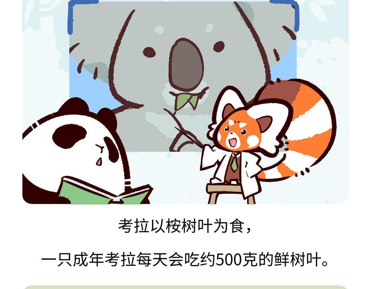 第235话-第236话