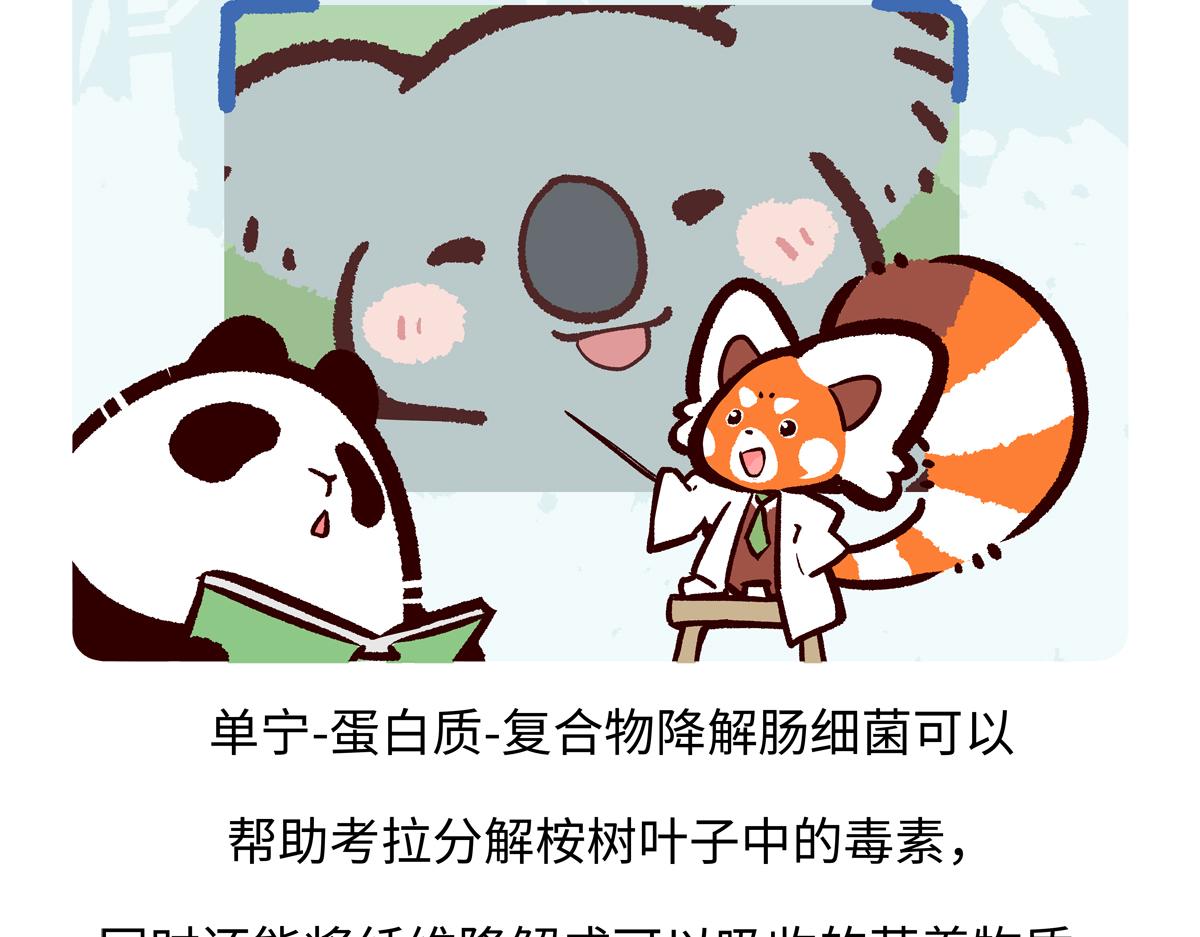 第237话-第238话