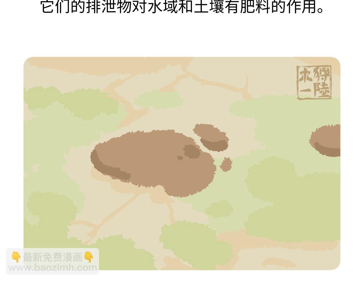 第243话-第244话