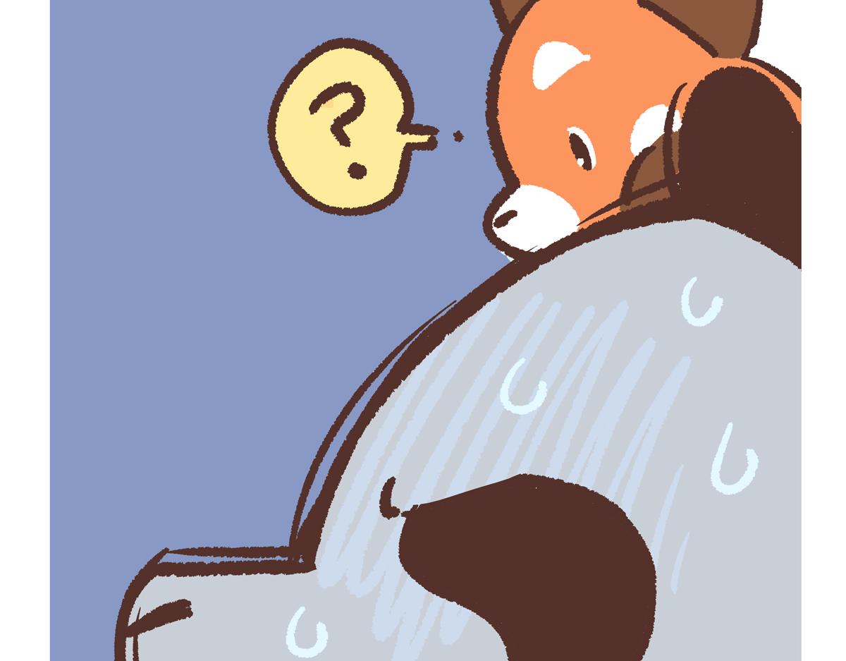 第255话-第256话