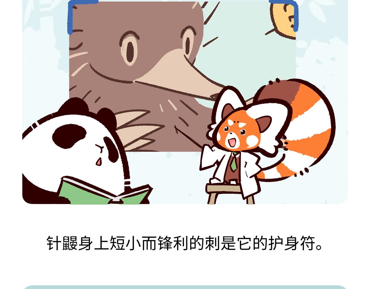 第255话-第256话