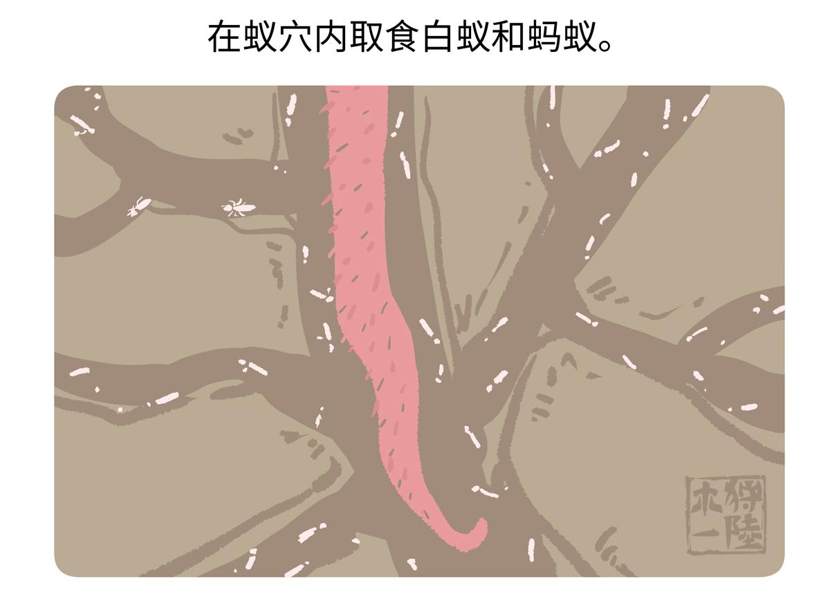 第257话-第258话