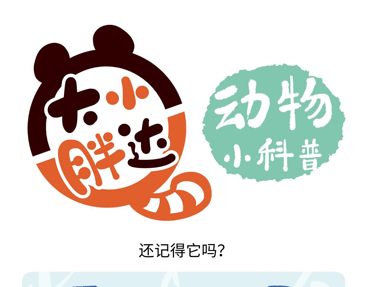 第261话-第262话