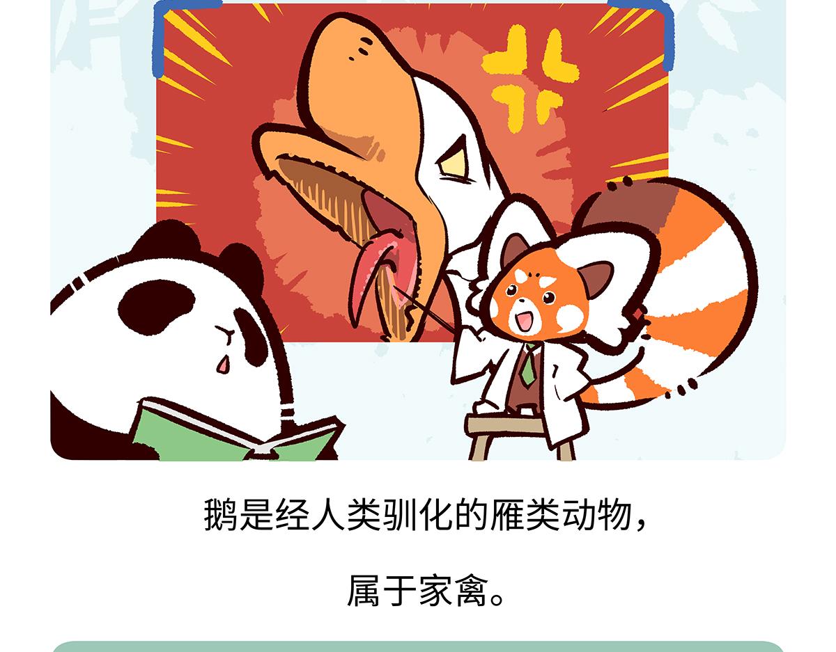 第261话-第262话
