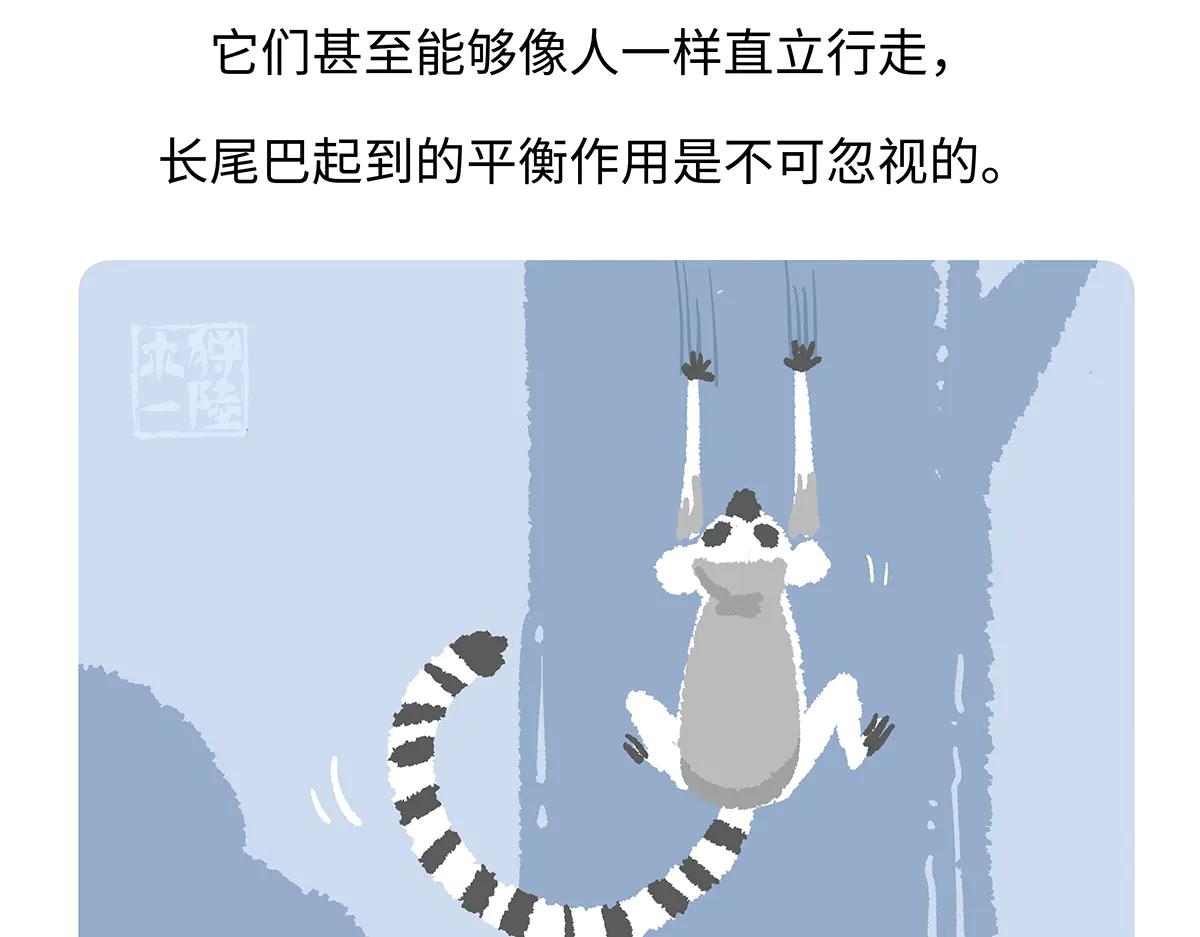 第265话-第266话