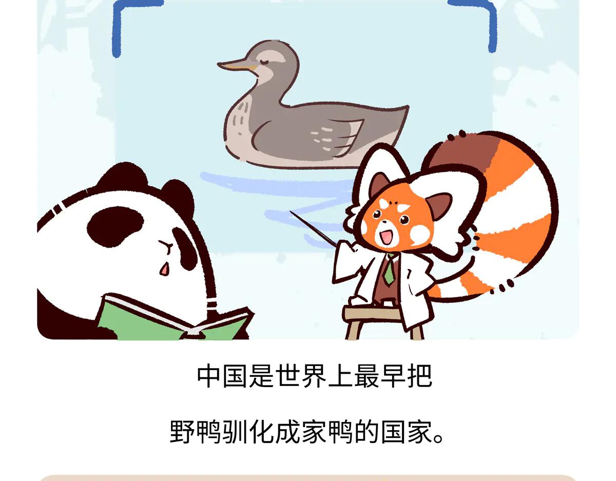 第267话-第268话