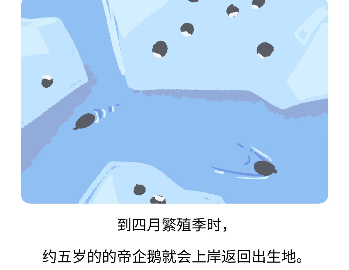 第275话-第276话